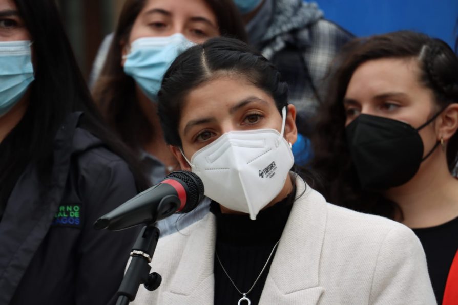 Delegada Moreira coordina espacio de diálogo entre Pomponeros y Comisión de Medioambiente por Ley de Turberas