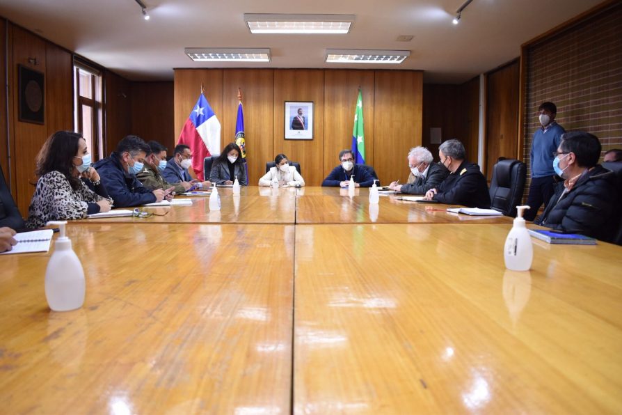 Delegada encabezó mesa intersectorial para fortalecer trabajo preventivo y fiscalización de productos del mar