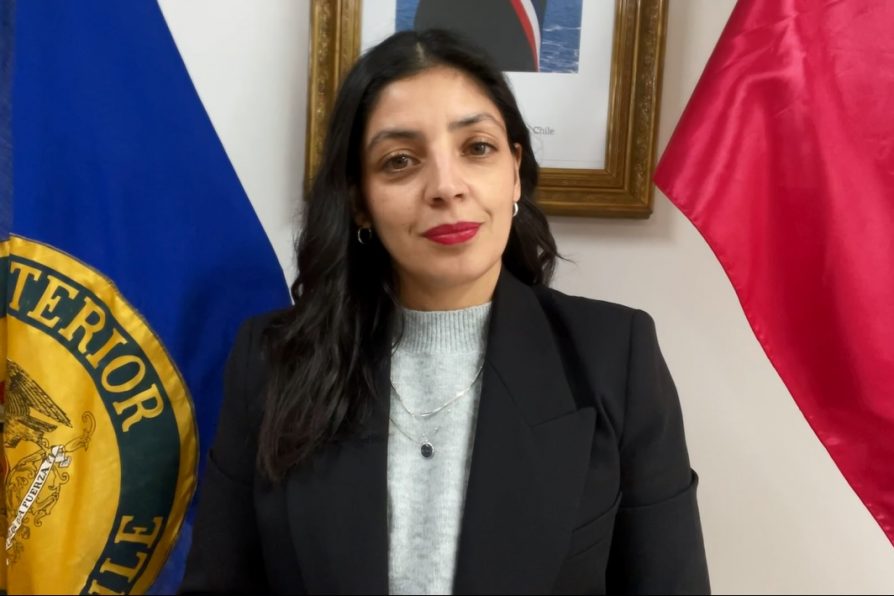 Delegada Presidencial confirma acciones por casos de explotación sexual en Puerto Montt
