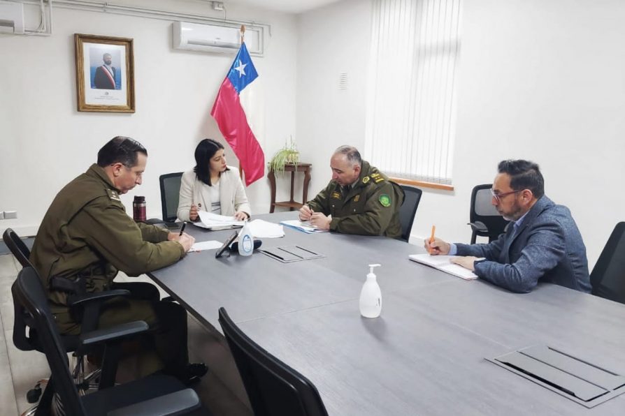 Autoridades adelantan plan regional de contingencia y llaman a la tranquilidad por conmemoración de 18-O