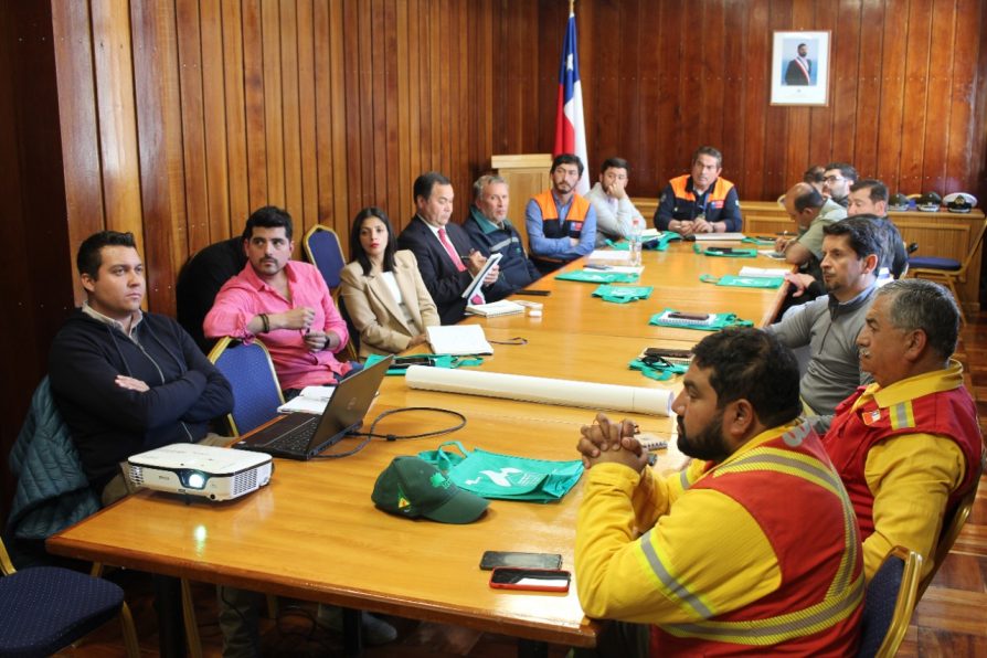 Coordinación intersectorial marca nueva sesión del Cogrid en la Provincia de Llanquihue