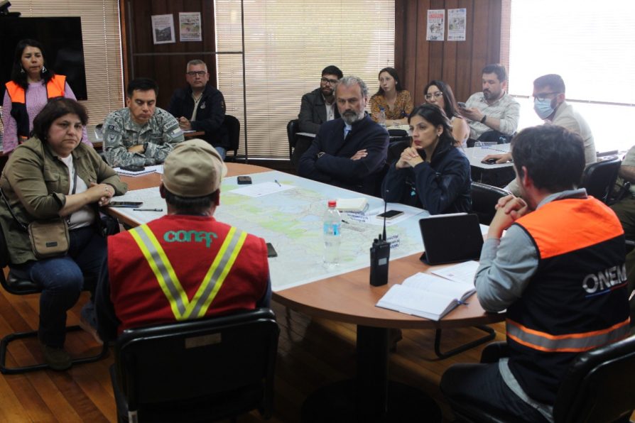 Autoridades regionales entregan balance de incendio forestal en Puerto Montt