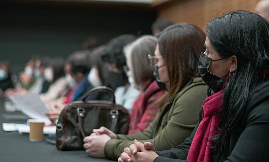 Delegación Presidencial Regional de Los Lagos busca personal para Centro de la Mujer y Centro de Hombres