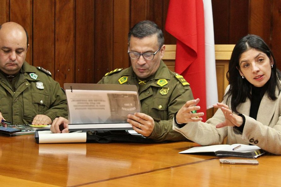 Delegada Presidencial Regional sostiene reunión protocolar con nuevo general de Carabineros Los Lagos