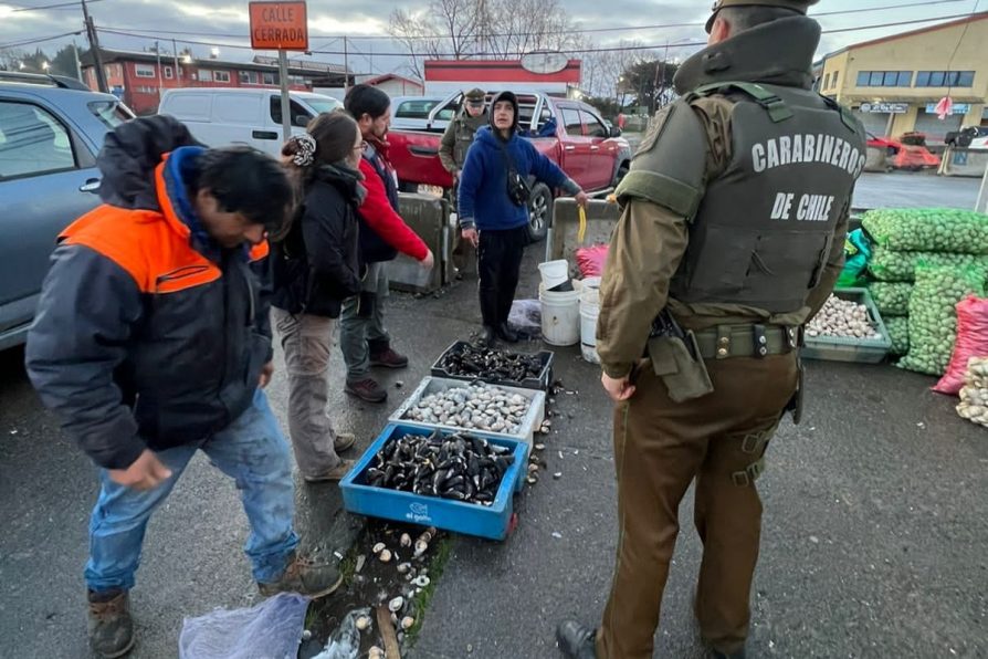 Fiscalización al comercio ambulante: Decomisan más de 160 kilos de productos del mar en Presidente Ibáñez