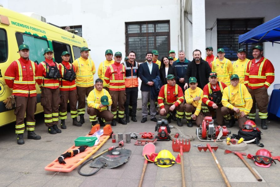 Gobierno informa medidas preventivas para evitar incendios forestales en Los Lagos