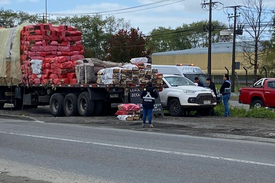 Operativo de fiscalización de venta ilegal de leña termina con 29 infracciones en Puerto Montt