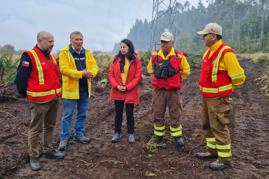 Se mantiene Alerta Amarilla por incendios forestales en la región de Los Lagos