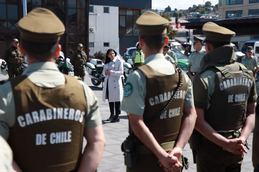 Con 48 detenidos termina ronda preventiva de Carabineros en Región de Los Lagos