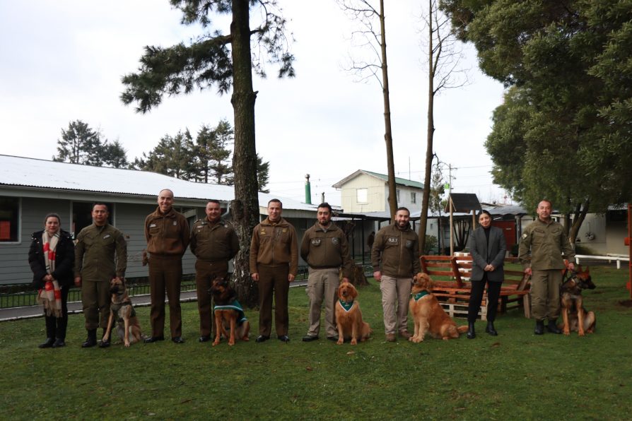 Delegada Presidencial Regional de Los Lagos reconoce aporte a la seguridad de binomios caninos de Carabineros de Chile