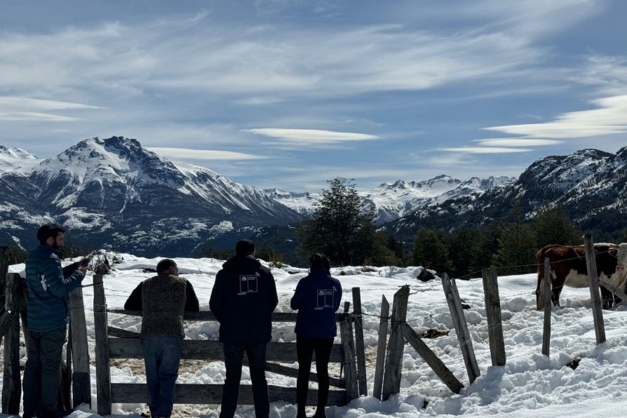 Gobierno decreta estado de emergencia agrícola en la provincia de Palena y comuna de Cochamó por nevazón