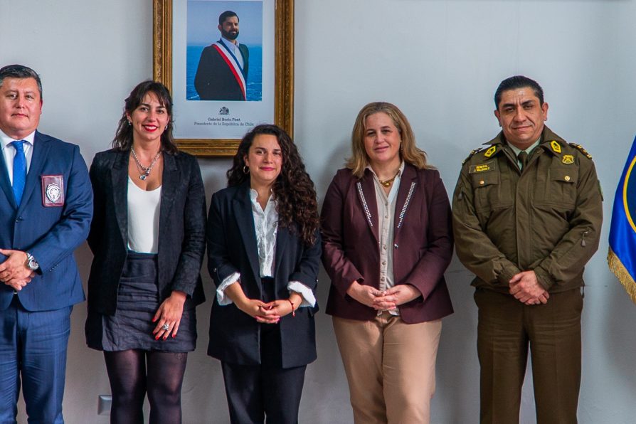 Reunión de coordinación con instituciones marca inicio de implementación del Ministerio  de Seguridad Pública en Los Lagos