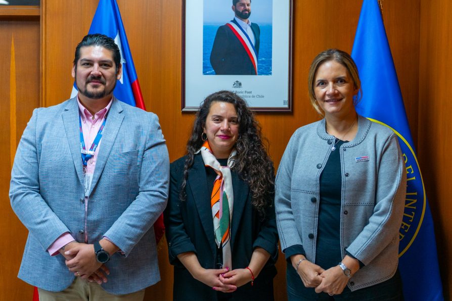 Directora Nacional de SENAPRED y Delegada Presidencial de Los Lagos presentaron a nuevo director regional