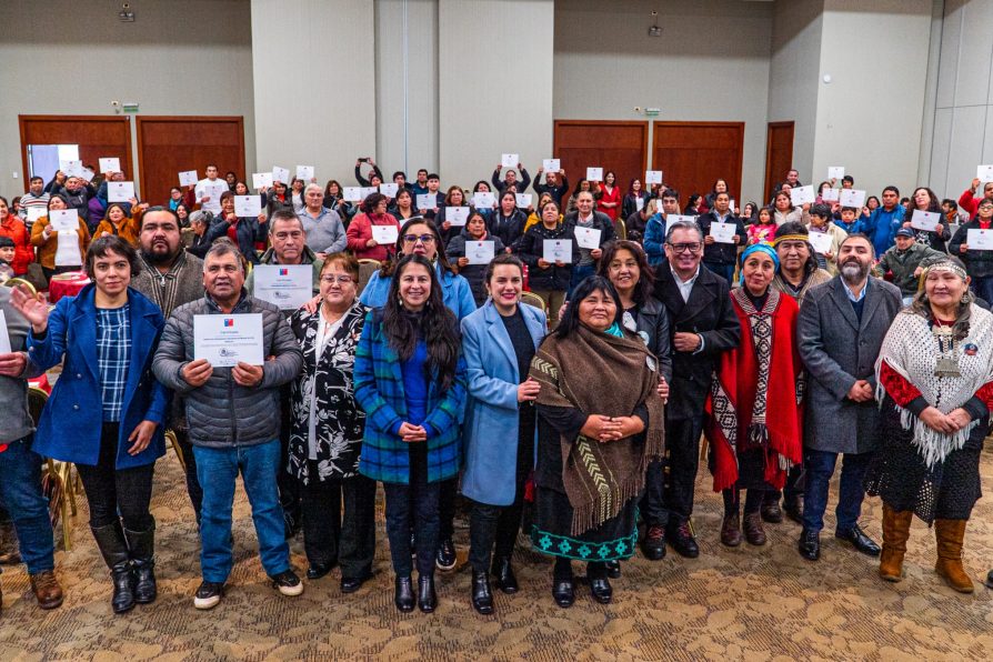Delegación Presidencial de Los Lagos anuncia gobernanza regional para proceso de consulta indígena