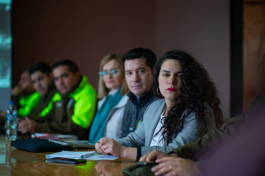 Autoridades lideran mesa de trabajo para fortalecer la seguridad y turismo sustentable en el Valle de Cochamó