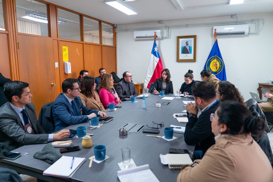 Refuerzan trabajo intersectorial para abordar situaciones de violencia que involucran a niñas, niños y adolescentes en Puerto Montt