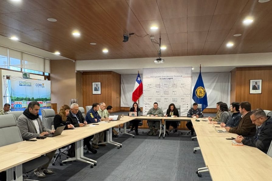 Delegada Presidencial Regional informa 100% de constitución de mesas en la región de Los Lagos