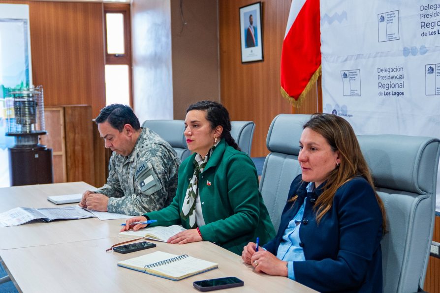 Sin incidentes mayores y con alta participación finalizó jornada de Segunda Vuelta Presidencial en la región de Los Lagos