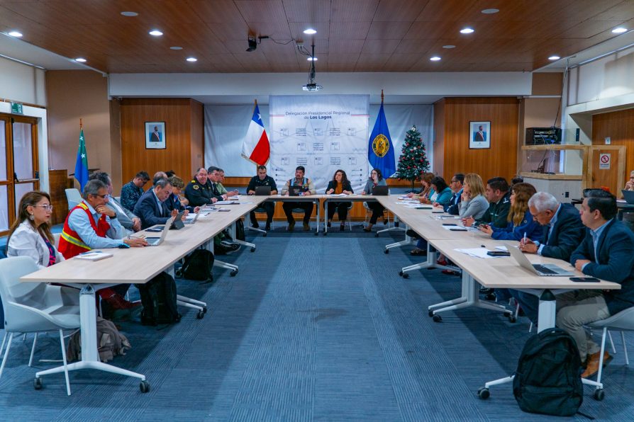 Plan Fin de Año Seguro cierra con más de 9 mil fiscalizaciones