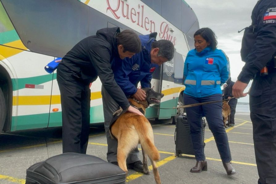 Conductores bajo influencia de drogas fueron detenidos en operativo policial preventivo