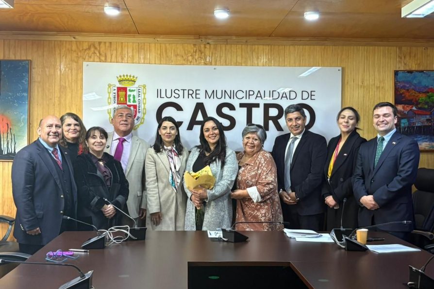 Gobierno refuerza red de protección para mujeres víctimas de violencia de género en la región de Los Lagos